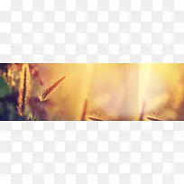 ����ʱ�б���-������