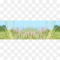 创意时尚背景-空若网 创意时尚背景-空若网