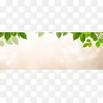 ����ʱ�б���-������