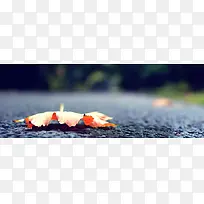 ����ʱ�б���-������