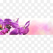 ����ʱ�б���-������