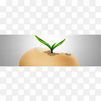 ����ʱ�б���-������