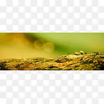 ����ʱ�б���-������