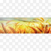 ����ʱ�б���-������