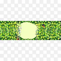 ����ʱ�б���-������