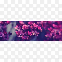 ����ʱ�б���-������