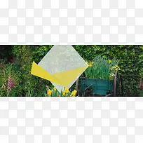 ����ʱ�б���-������