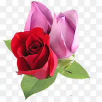 ʱ�д���ʢ��õ��-������