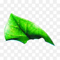 绿色叶子插画景观-空若网 绿色叶子插画景观-空若网