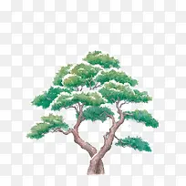 落雪的绿色松书插画-空若网 落雪的绿色松书插画-空若网