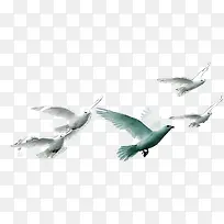 高清摄影海鸥效果拍摄图-空若网 高清摄影海鸥效果拍摄图-空若网