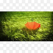 绿色麦田红伞摄影图-空若网 绿色麦田红伞摄影图-空若网