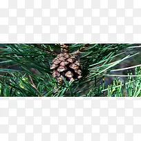 摄影背景图-空若网 摄影背景图-空若网