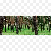 摄影背景图-空若网 摄影背景图-空若网