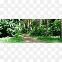 ��Ӱ����ͼ-������