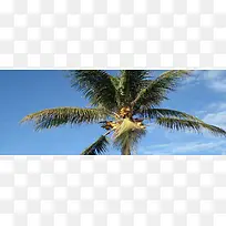 ��Ӱ����ͼ-������