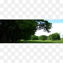 ��Ӱ����ͼ-������