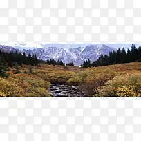 ͨ�ñ���ͼ-������