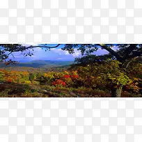 通用背景图-空若网 通用背景图-空若网