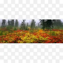 通用背景图-空若网 通用背景图-空若网