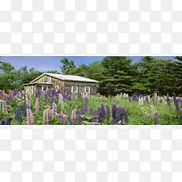 ͨ�ñ���ͼ-������