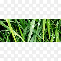 摄影背景图-空若网 摄影背景图-空若网