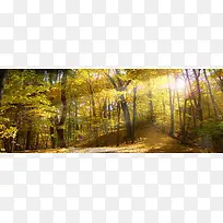 通用背景图-空若网 通用背景图-空若网