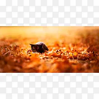 摄影背景-空若网 摄影背景-空若网