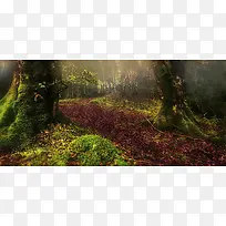 摄影背景-空若网 摄影背景-空若网