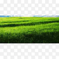 摄影背景-空若网 摄影背景-空若网