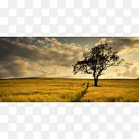 摄影背景-空若网 摄影背景-空若网