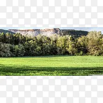 �ݵ���Ӱ����-������