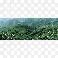 ��Ӱ����-������