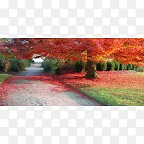 摄影背景-空若网 摄影背景-空若网