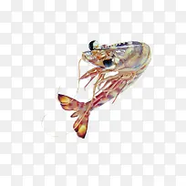 ÏºÐ·ËØ²ÄʵÎïÃâ·ÑÏÂÔØ-¿ÕÈôÍø ÏºÐ·ËØ²ÄʵÎïÃâ·ÑÏÂÔØ-¿ÕÈôÍø