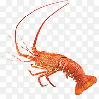 ��Ϻ-������