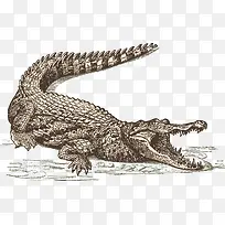 ����-������