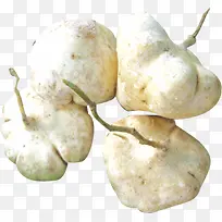 凉薯-空若网 凉薯-空若网