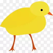 鸡动画剪贴画-鸟-空若网 鸡动画剪贴画-鸟-空若网
