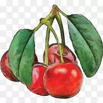 Ë®²Ê».Æ»¹ûË®²Ê-¿ÕÈôÍø Ë®²Ê».Æ»¹ûË®²Ê-¿ÕÈôÍø