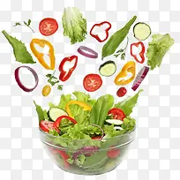 �߲˶�̬ɳ��-������