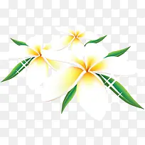 白色卡通花夏日-空若网 白色卡通花夏日-空若网