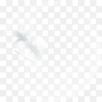 圆形白色礼物-空若网 圆形白色礼物-空若网