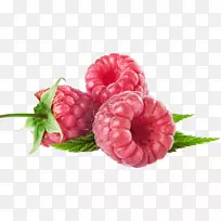 覆盆子-草莓-空若网 覆盆子-草莓-空若网