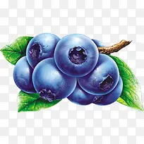 蓝色水果蓝莓-空若网 蓝色水果蓝莓-空若网