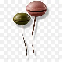 �����ɫ������ʳ-������