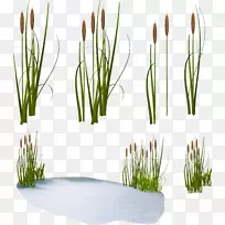 «έ��ͨ������.��ɫˮ��-������