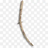 �ǷϿ���֦-������