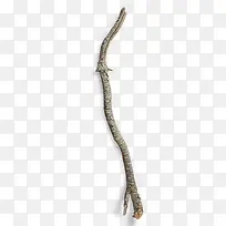 颓废枯树枝-空若网 颓废枯树枝-空若网