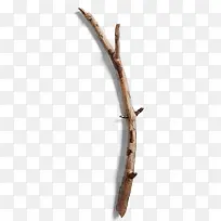 �ǷϿ���֦-������